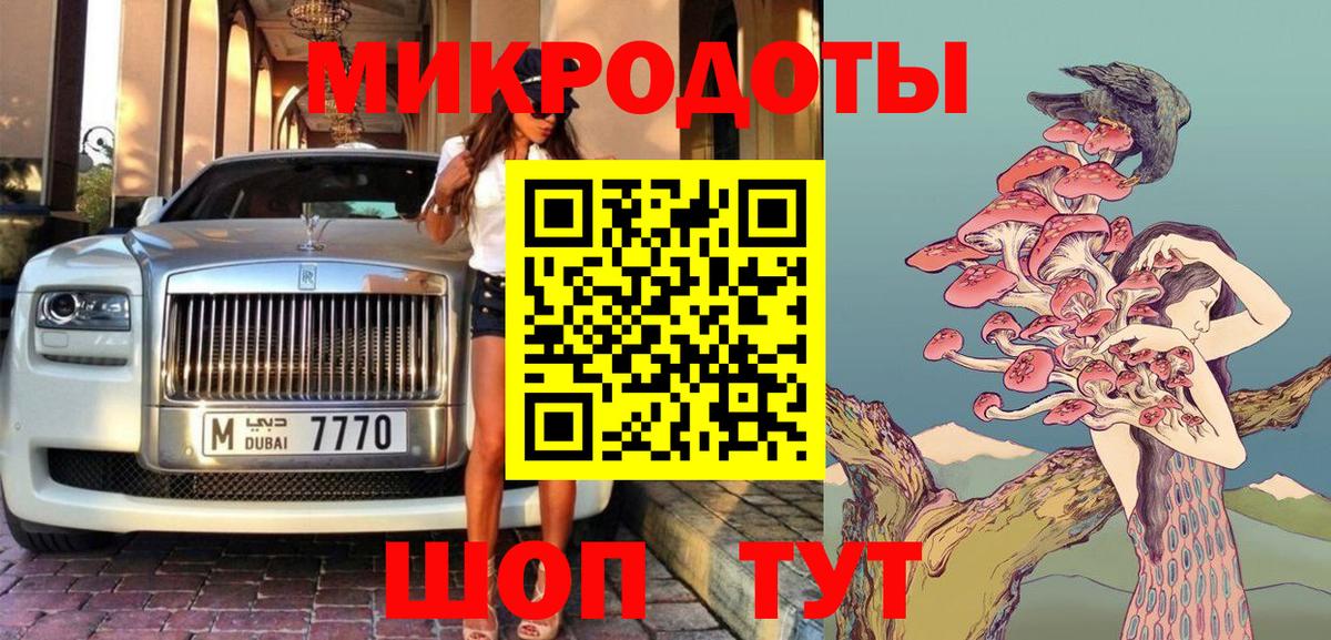 Кингисепп  Галлюциногенные грибы мухоморы  Вход с VPN  что такое наркотик  Галлюциногенные грибы Psilocybe 
